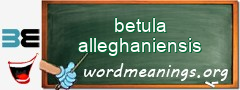 WordMeaning blackboard for betula alleghaniensis